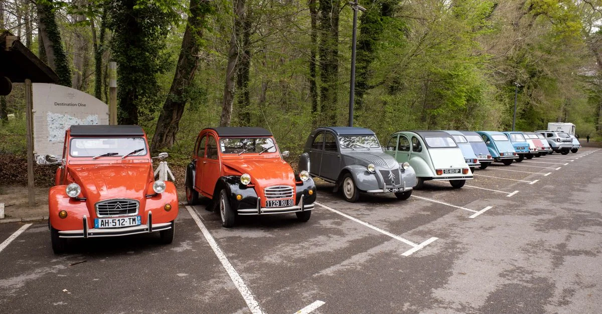 Une rangée de voitures Citroën 2CV vintage garées dans une belle zone forestière à Compiègne, France.
